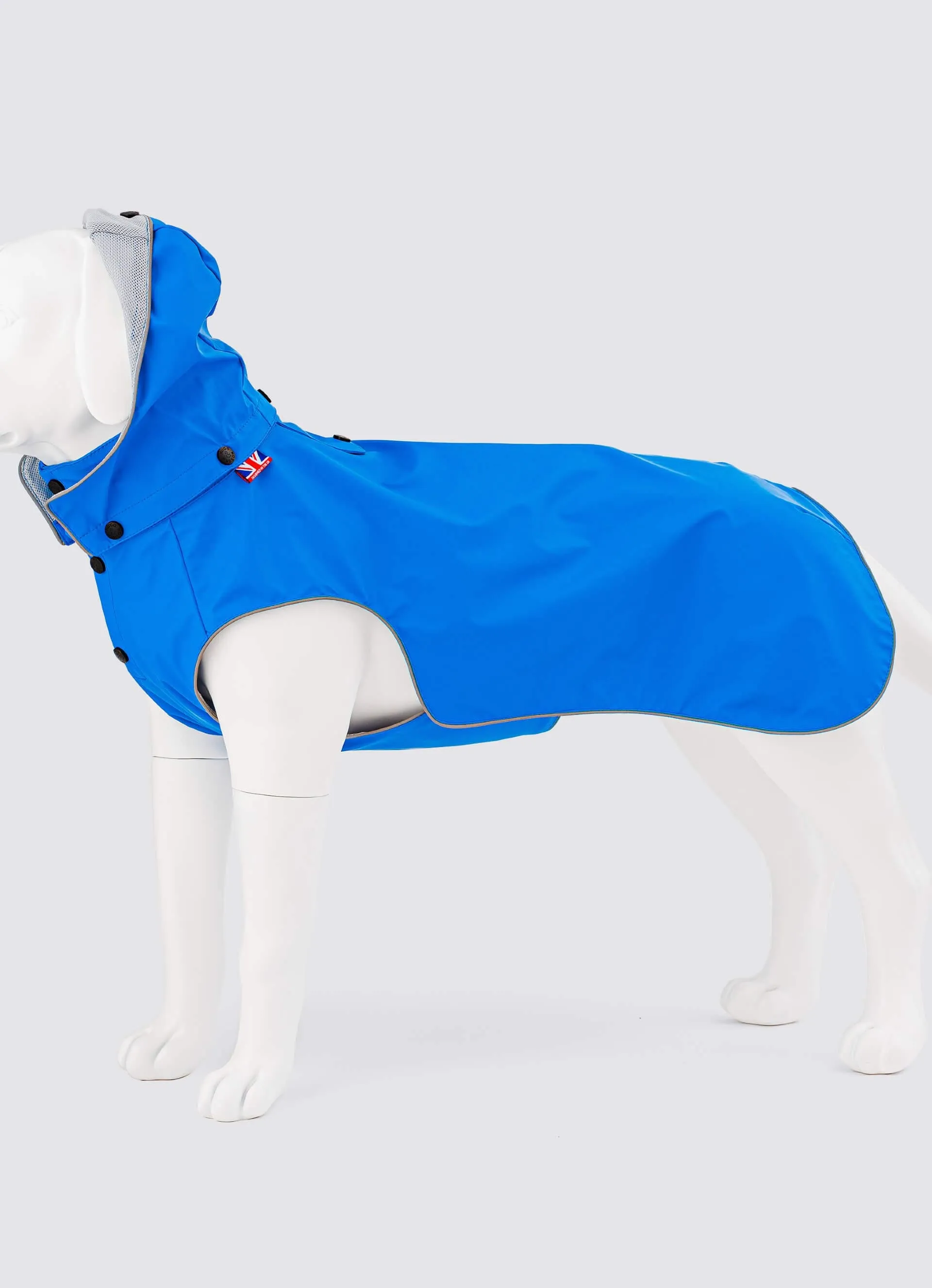 All-weather Dog Raincoat - Blue