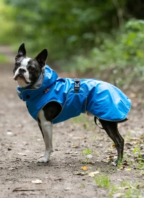 All-weather Dog Raincoat - Blue