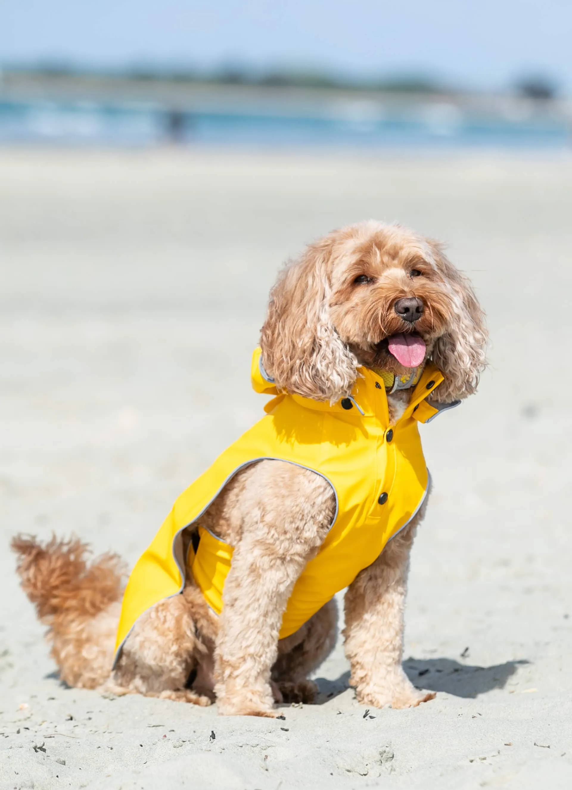 All-weather Dog Raincoat - Yellow