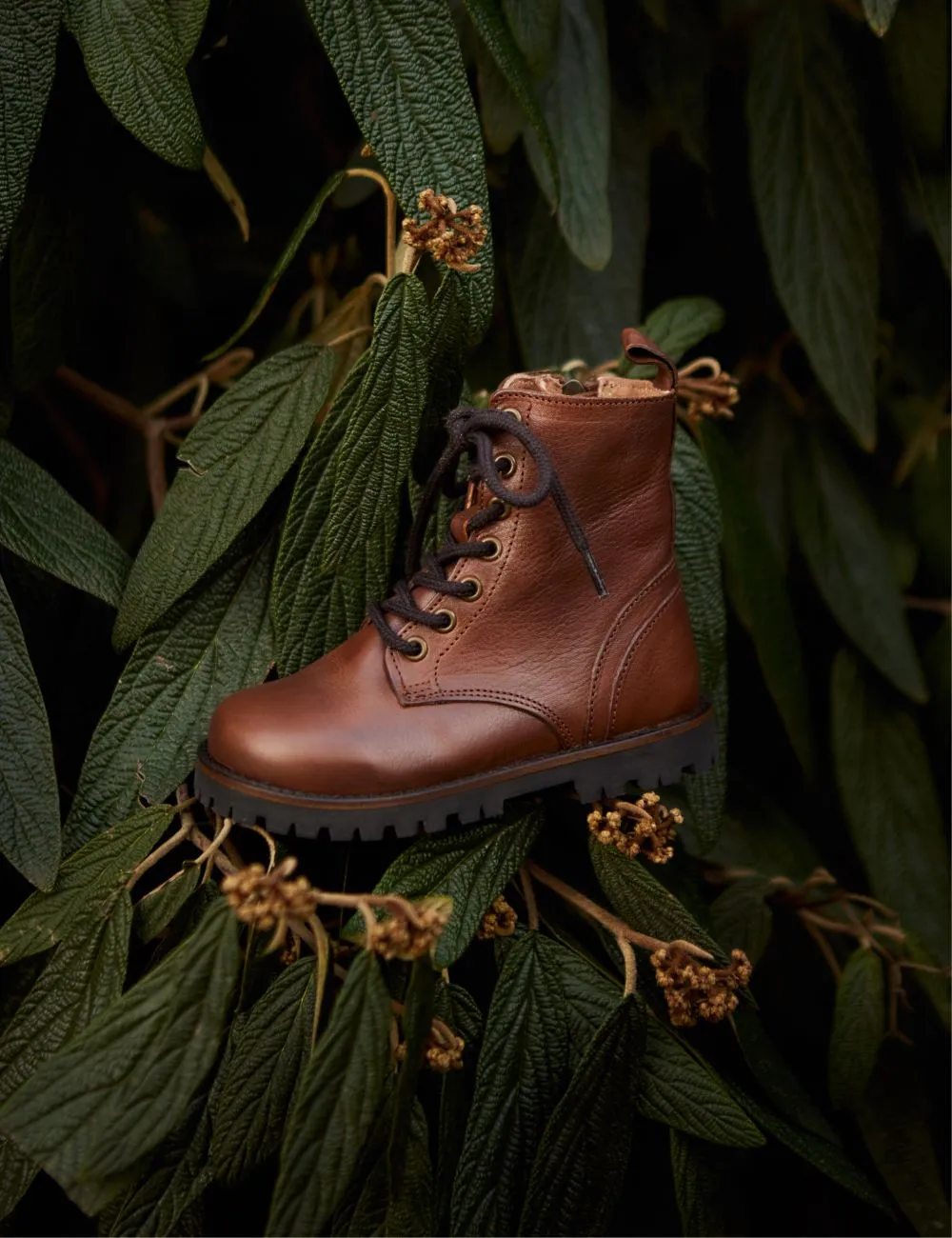 Lace-up Boot - Hazelnut